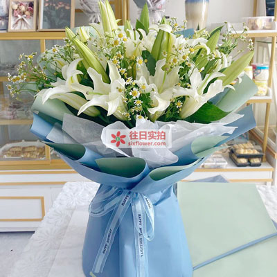 张家口8支白色多头百合洋甘菊，互倾的思念