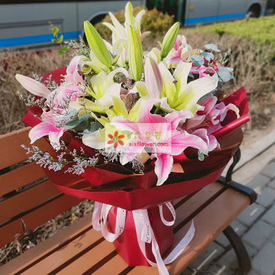 张家口8支多头百合,万事如意喜上加喜