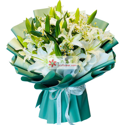 张家口8支白色多头百合洋甘菊，如潮的思念