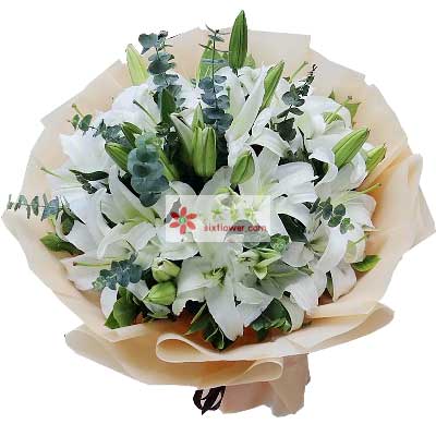 张家口9支白色多头百合，祝福你幸福
