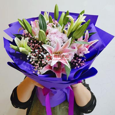 张家口6支粉色多头百合，真诚的问候